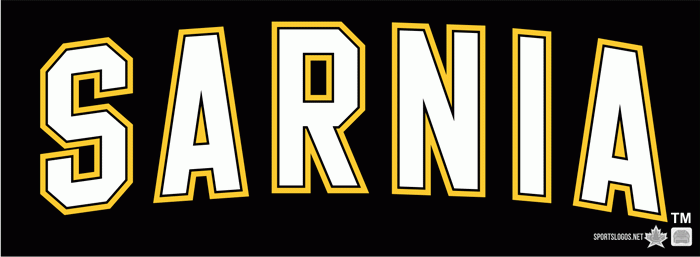 Sarnia Sting 2010 11-pres alternate logo iron on heat transfer